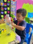 WhatsApp Image 2026-05-26 at 17.25.49.jpeg