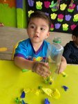 WhatsApp Image 2026-05-26 at 17.25.50 (2).jpeg