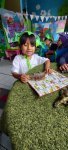 20260610_092311.jpg