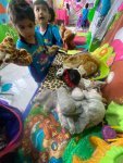 IMG-20260703-WA0235.jpg
