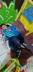 20260706_094947.jpg