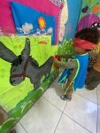 IMG-20260721-WA0096.jpg