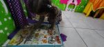 20260804_095017.jpg