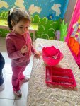 IMG-20260923-WA0098.jpg