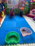 IMG-20260923-WA0103.jpg